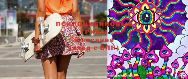 дурь Михайловск