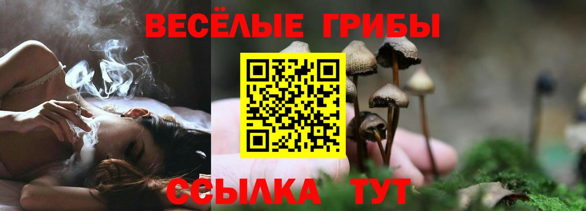 Галлюциногенные грибы мухоморы Энгельс